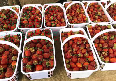 Strawberries_at_a_Farmers_Market