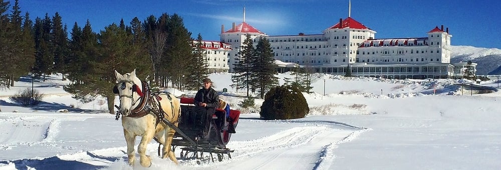 sleigh rides - bretton-000450-edited.jpg